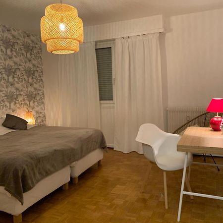 Appartement Centre-Ville Colmar Bagian luar foto